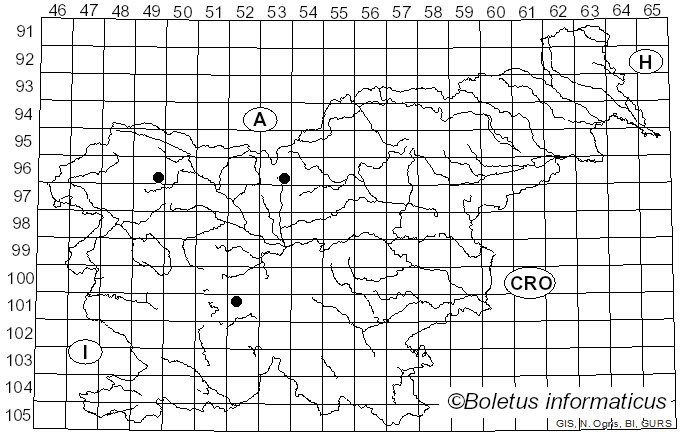 <i>Dasysyrphus tricinctus</i> Fallen