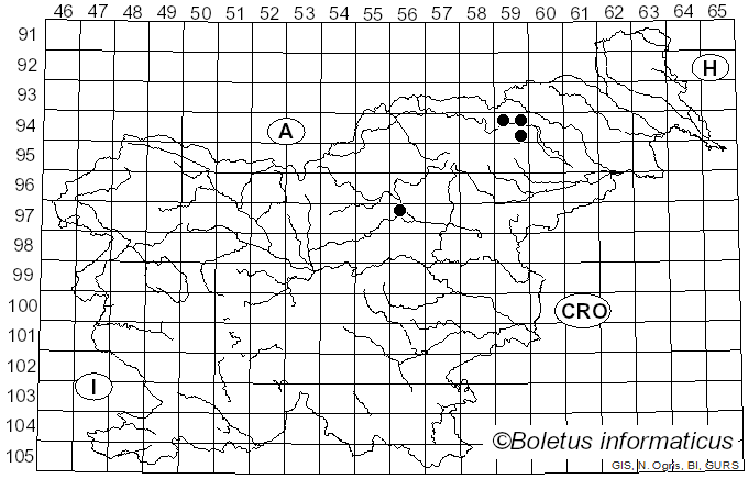 <i>Laccaria pumila</i> Fayod (1893)