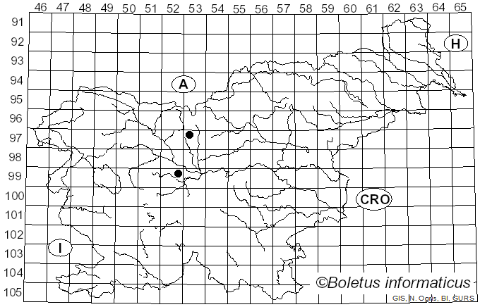 <i>Venturia ditricha</i> (Fr.) P. Karst. (1873)