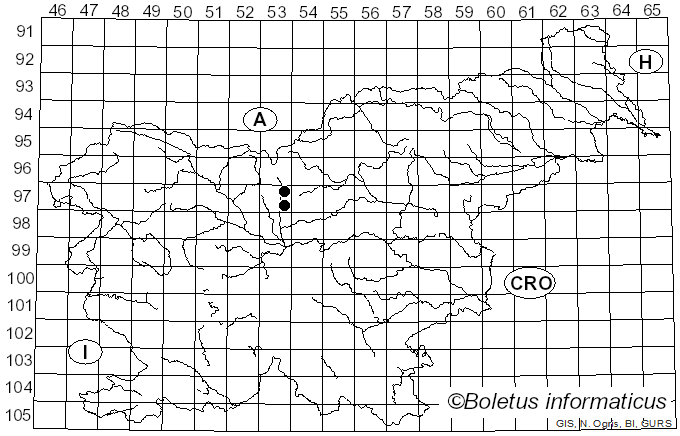 <i>Leptosphaeria rehmiana</i> W. Voss