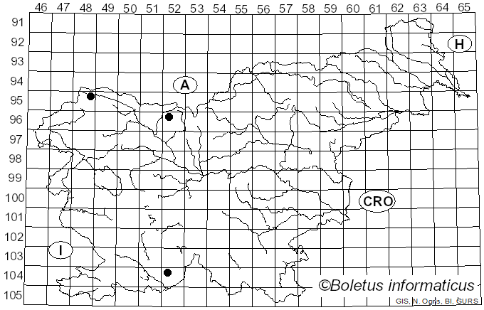 <i>Nodulosphaeria</i> Rabenh. (1858)