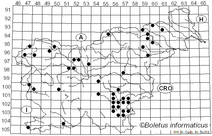 <i>Inosperma</i> (Kühner) Matheny & Esteve-Rav. (2019)