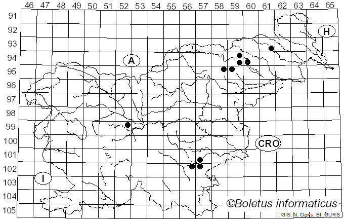 <i>Apiocrea</i> Syd. & P. Syd. (1921)