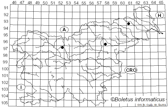<i>Agaricus abruptibulbus</i> Peck (1905)