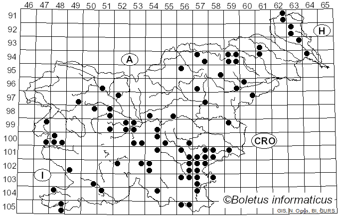 <i>Russula luteotacta</i> Rea (1922)