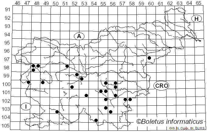 <i>Chlorosplenium</i> Fr. (1849)