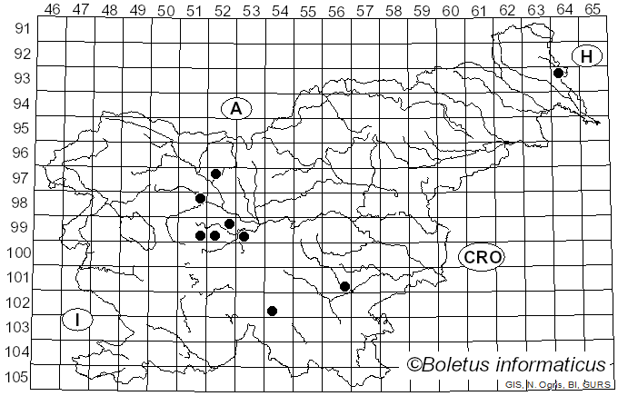 <i>Sebacina laciniata</i> (Bull.) Bres.