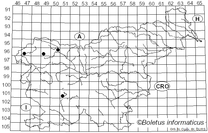 <i>Beauveria</i> Vuill. (1912)