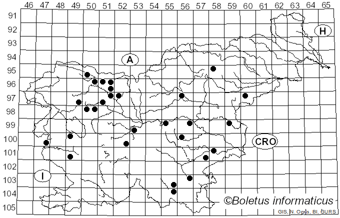 <i>Xylaria carpophila</i> (Pers.) Fr. (1849)