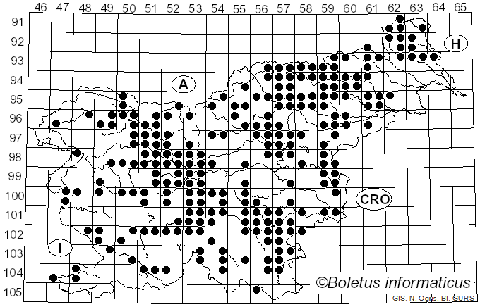 <i>Russula emetica</i> (Schaeff.) Pers. (1796)