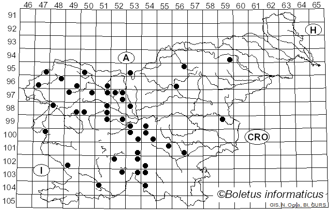 <i>Tricholoma aurantium</i> (Schaeff.) Ricken (1914)