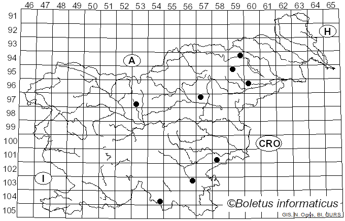 <i>Hydropus atramentosus</i> (Kalchbr.) Kotl. & Pouzar