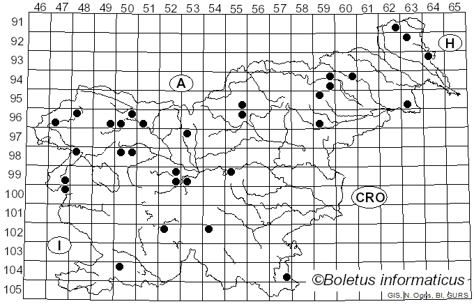 <i>Diatrypella favacea</i> (Fr.) Ces. & De Not. (1863)