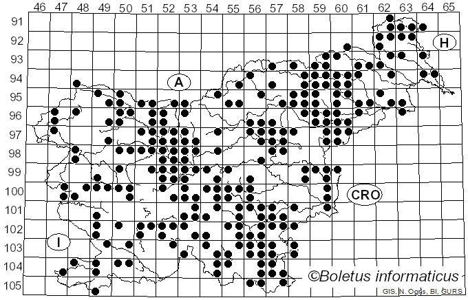 <i>Schizophyllum</i> Fr. (1815)