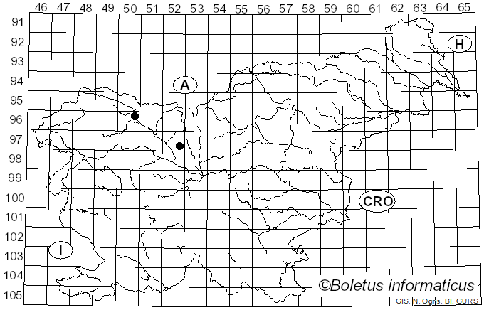 <i>Septoria lythrina</i> Peck (1883)