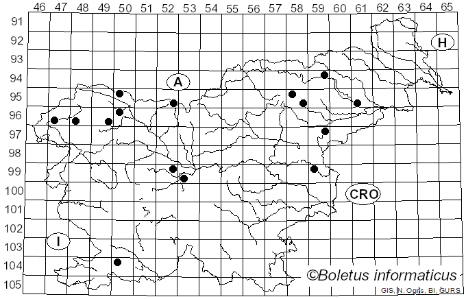 <i>Hygrocybe cantharellus</i> (Schwein.) Murrill (1911)