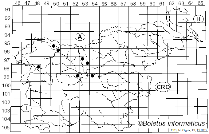 <i>Cucurbitaria berberidis</i> (Pers.) Grev. (1821)