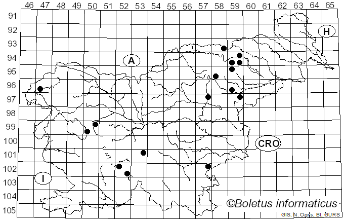 <i>Inocybe lacera</i> (Fr.) P. Kumm. (1871)