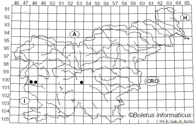 <i>Cortinarius aleuriosmus</i> Maire (1910)