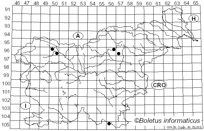 <i>Tricholomopsis flammula</i> Métrod (1946)