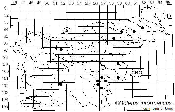 <i>Cortinarius bulbosus</i> (Sowerby) Fr. (1838)