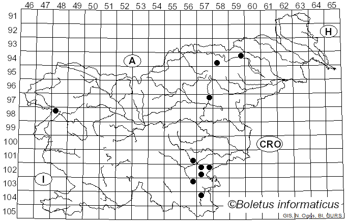 <i>Leccinum pulchrum</i> Lannoy & Estadès (1991)