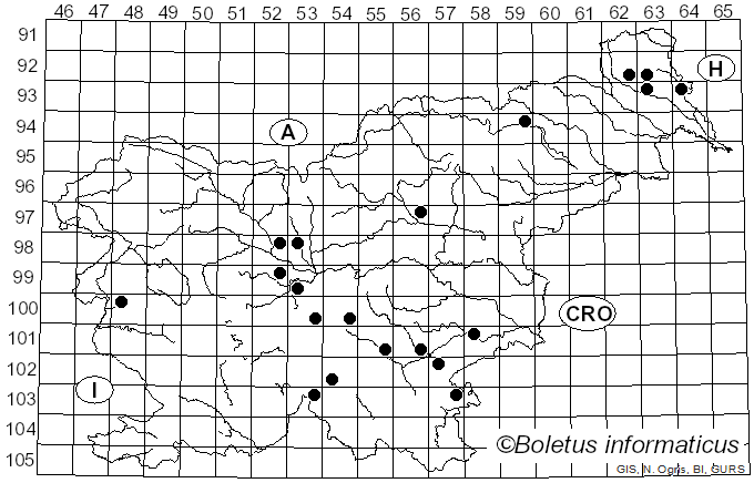 <i>Leccinum aurantiacum</i> var. <i>quercinum</i> Pilát (1961)