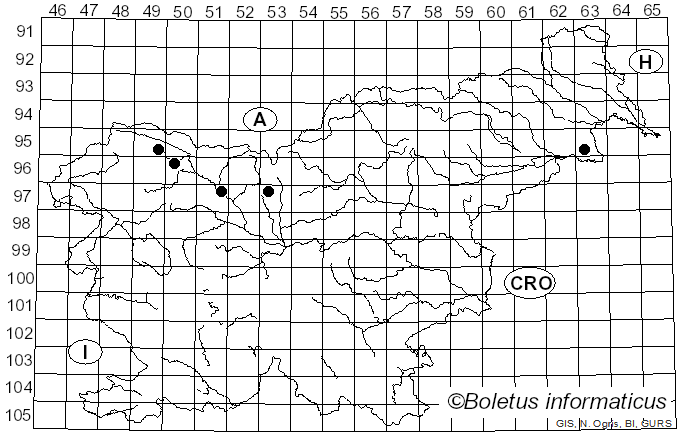 <i>Cistella</i> Quél. (1886)