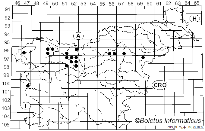 <i>Tolypocladium</i> W. Gams (1971)