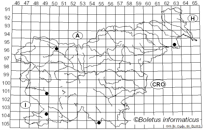 <i>Athelia epiphylla</i> Pers. (1822)