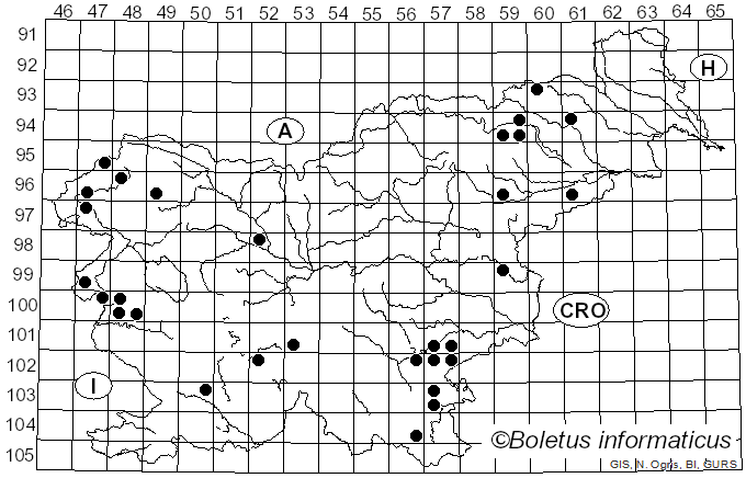 <i>Calonarius</i> Niskanen & Liimat. (2022)