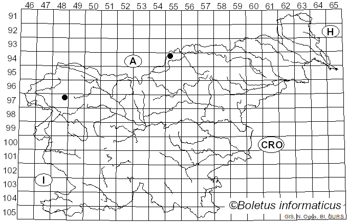 <i>Podosphaera macularis</i> (Wallr.) U. Braun & S. Takam. (2000)