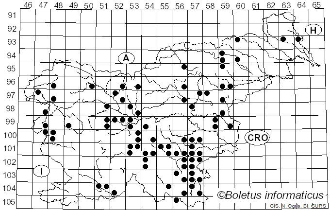 <i>Polyporus umbellatus</i> (Pers.) Fr. (1821)