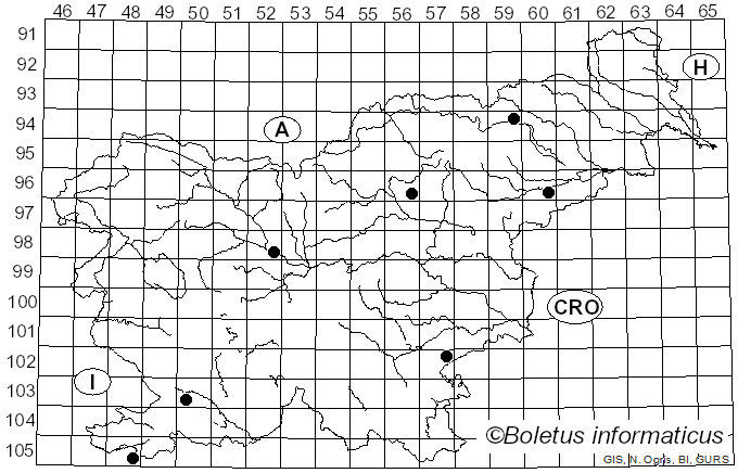 <i>Clitocella</i> Kluting, T.J. Baroni & Bergemann (2014)