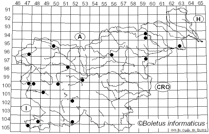 <i>Cyclocybe</i> Velen. (1939)