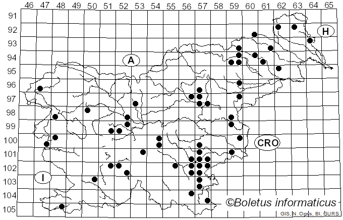 <i>Psathyrella spadiceogrisea</i> (Schaeff.) Maire (1937)