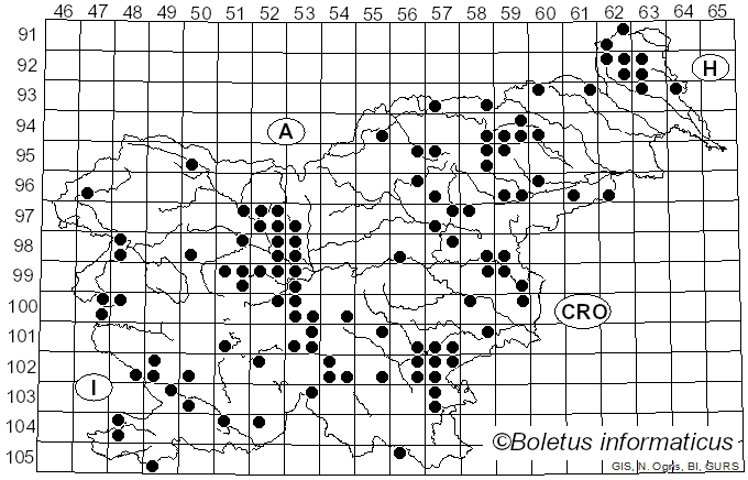 <i>Tricholoma acerbum</i> (Bull.) Vent. (1872)