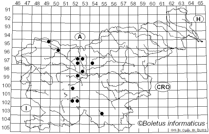 <i>Uromyces viciae-fabae</i> var. <i>viciae-fabae</i> (Pers.) J. Schröt. (1875)