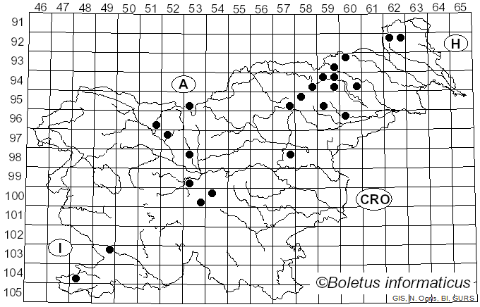 <i>Exidia saccharina</i> Fr. (1822)