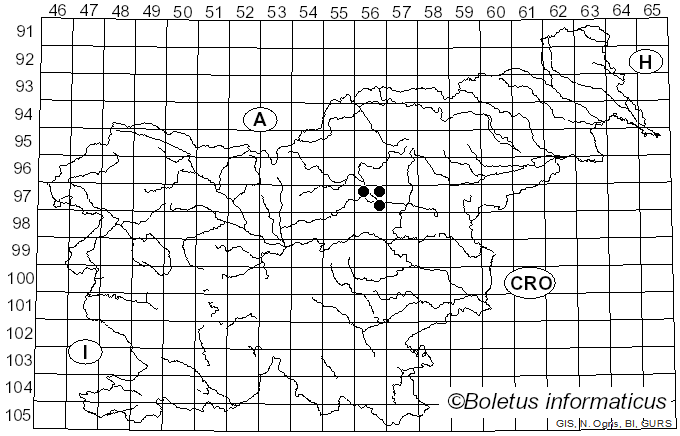 <i>Omphalina mutila</i> (Fr.) P.D. Orton (1960)
