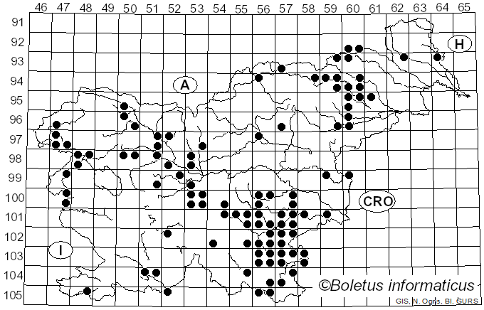 <i>Polyporus tuberaster</i> (Jacq.) Fr. (1815)