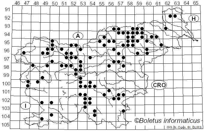 <i>Xeromphalina campanella</i> (Batsch) Kühner & Maire (1934)