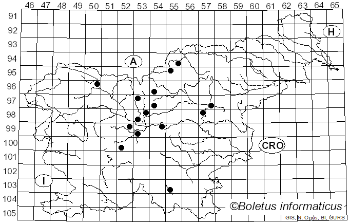 <i>Bremia lactucae</i> Regel (1843)