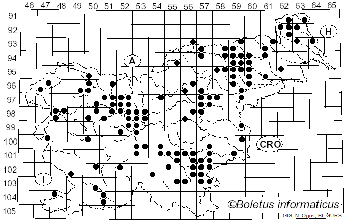 <i>Ampulloclitocybe clavipes</i> (Pers.) Redhead, Lutzoni, Moncalvo & Vilgalys (2002)