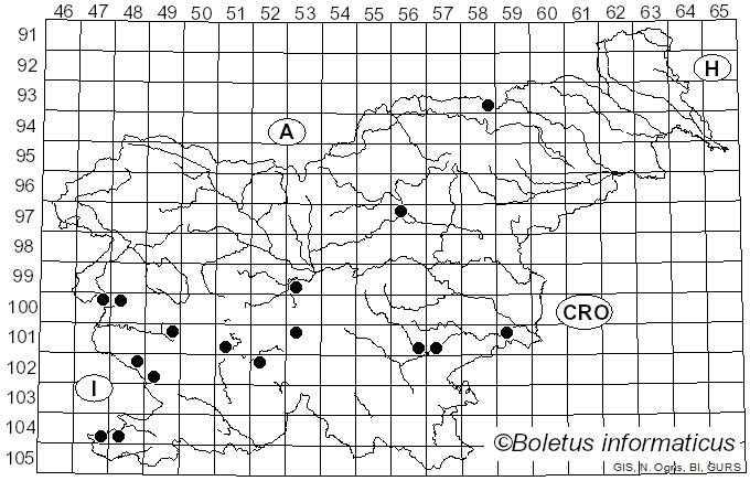 <i>Agaricus langei</i> (F.H. Møller & Jul. Schäff.) Maire (1952)