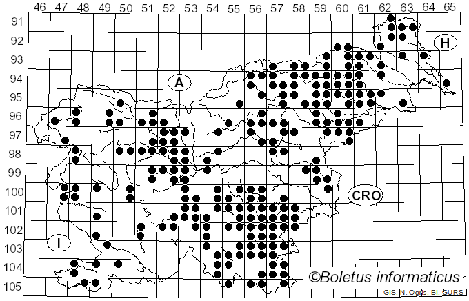 <i>Stereum hirsutum</i> (Willd.) Gray (1938)