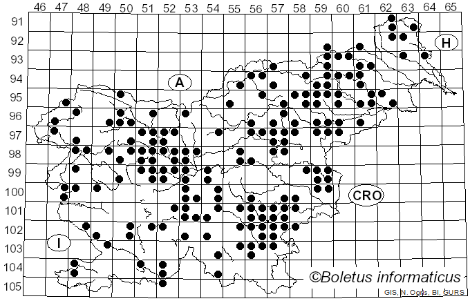<i>Mucidula mucida</i> (Schrad.) Pat. (1887)