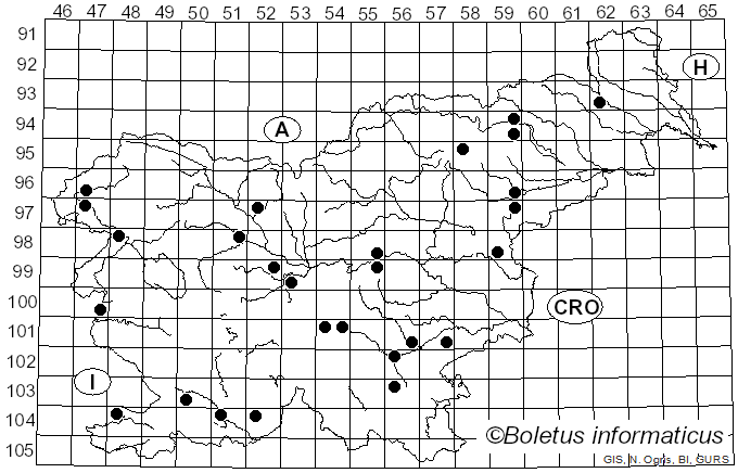 <i>Thaxterogaster croceocoeruleus</i> (Pers.) Niskanen & Liimat. (2022)