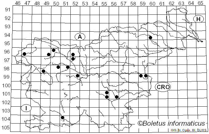 <i>Clavulinopsis helvola</i> (Pers.) Corner (1950)