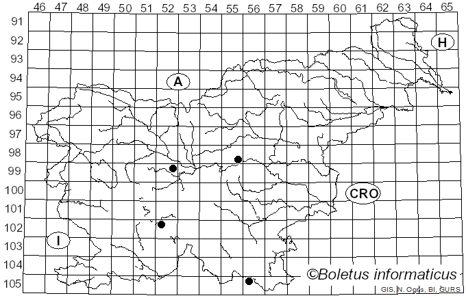 <i>Xylostroma corium</i> Pers. (1822)